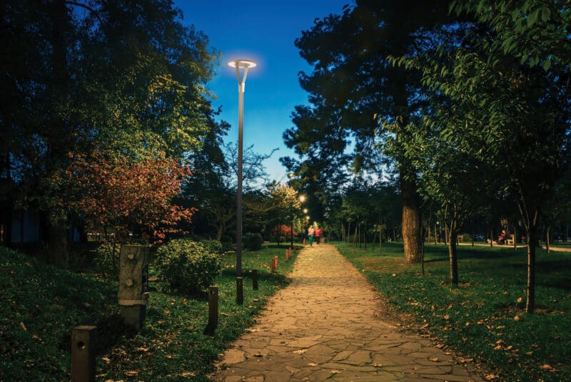 The tailed lawn with yellow leafs in the night park with lanterns in autumn. benches in the park during the autumn season at night. illumination of a park road with lanterns at night. park kyoto