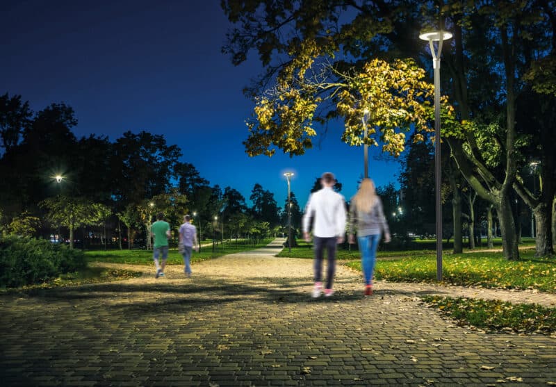 The tailed lawn with yellow leafs in the night park with lanterns in autumn. benches in the park during the autumn season at night. illumination of a park road with lanterns at night. park kyoto