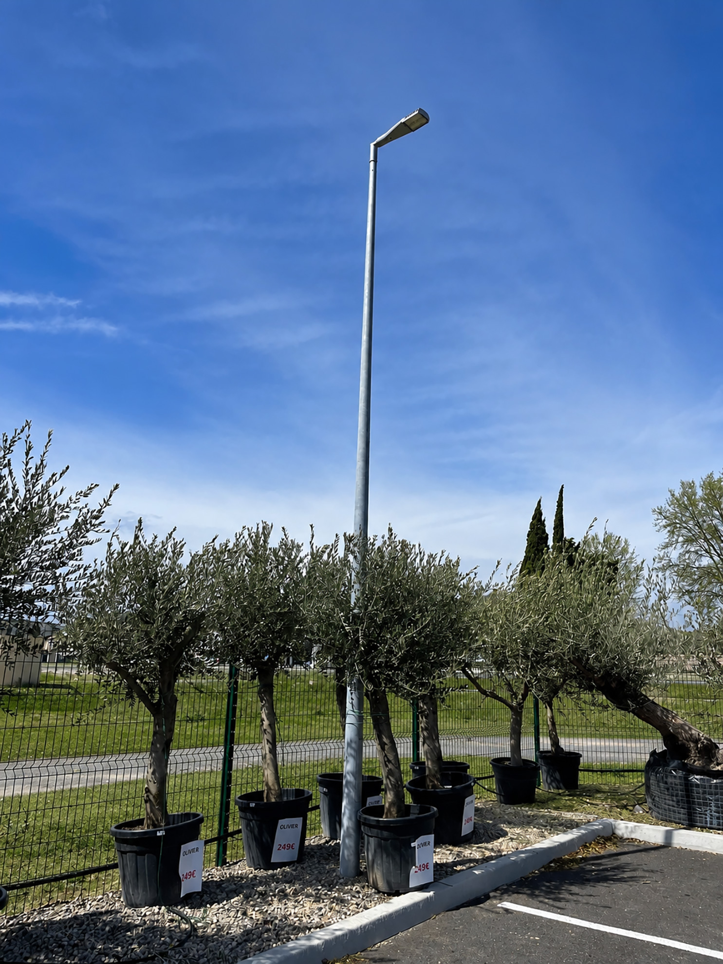 02_Eclairage-exterieur-Disano_parking-magasin_Susa