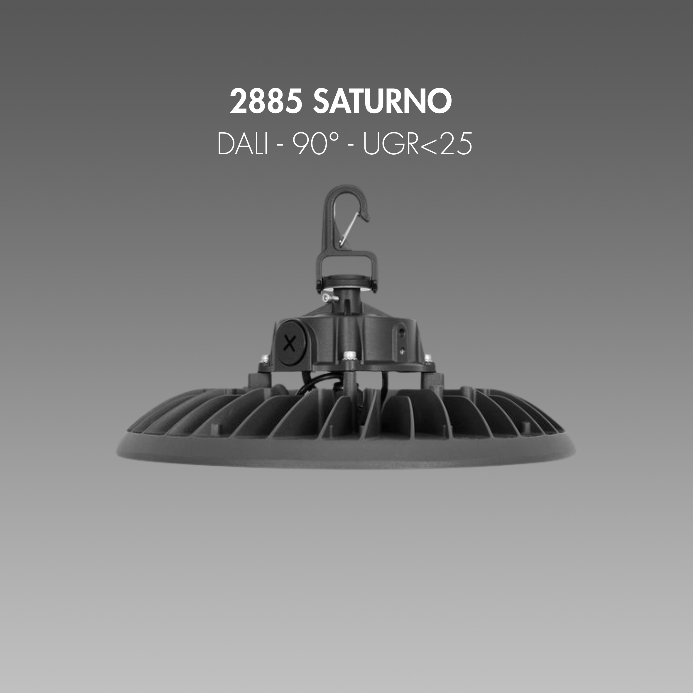 2885 Saturno DALI
