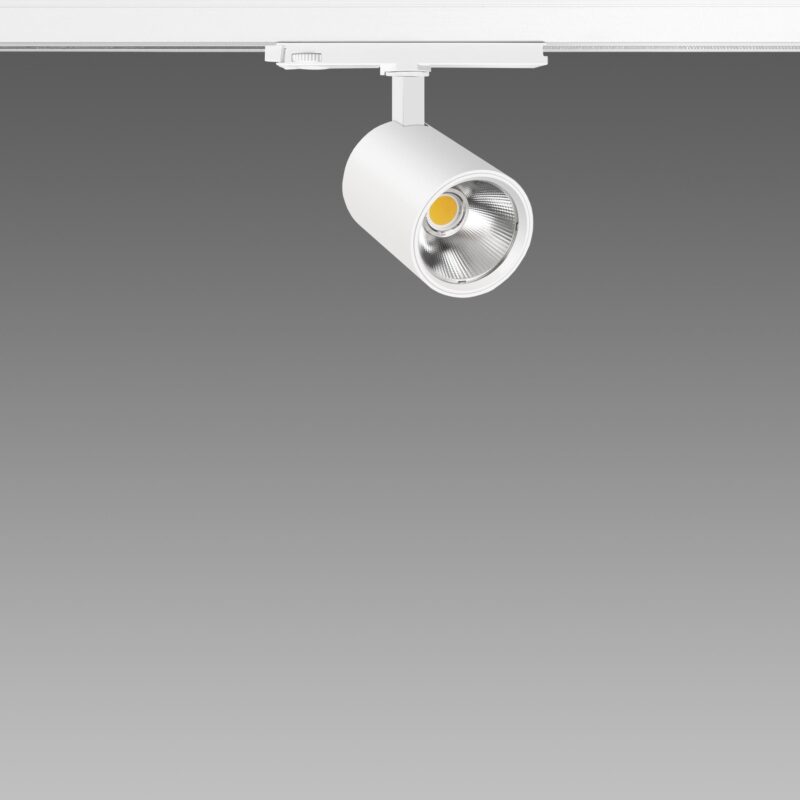 Asso B | Big | DIP SWITCH