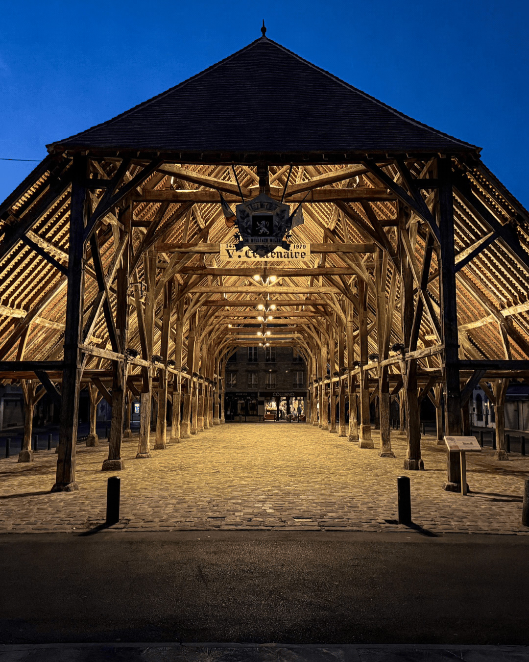 03_Halle-Milly-La-Foret_Etude-DIALux-vs-realite-eclairage-Disano